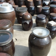 kimchivessels