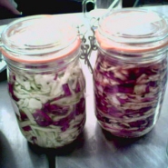 krauts-w-no-labels