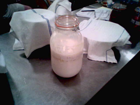 Clabber, which is milk thickened by the action of spontaneous fermentation.
