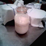 Clabber, which is milk thickened by the action of spontaneous fermentation.