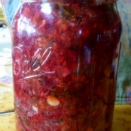 Fermented Cranberry Chutney