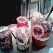 More multi ferments.