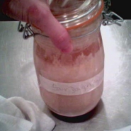 Sourdough starter.
