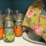 Lots of fermenting vegetables, in jars and weighed down by smaller jars.