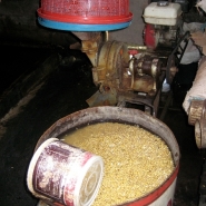 Beans Soaking and Mill for Splitting Beans