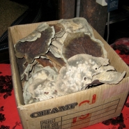 A box of molded waru leaves.