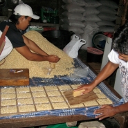 Patting down tempeh bags in form.