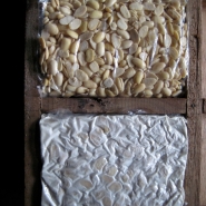 Freshly bagged inoculated beans and mature tempeh, side-by-side.