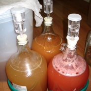 meadmaking