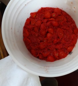 tomato halves ready