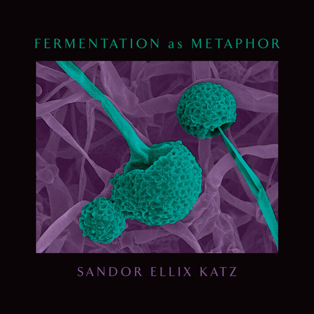 Book cover: Fermentation as Metaphor by Sandor Ellix Katz